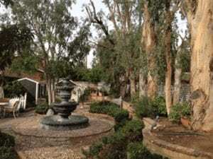 Tree Trimming, Pruning - Rob's Tree Services Orange County, Yorba Linda
